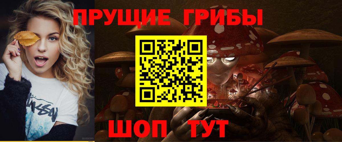 Кстово  Галлюциногенные грибы Psilocybe  Вход с VPN 